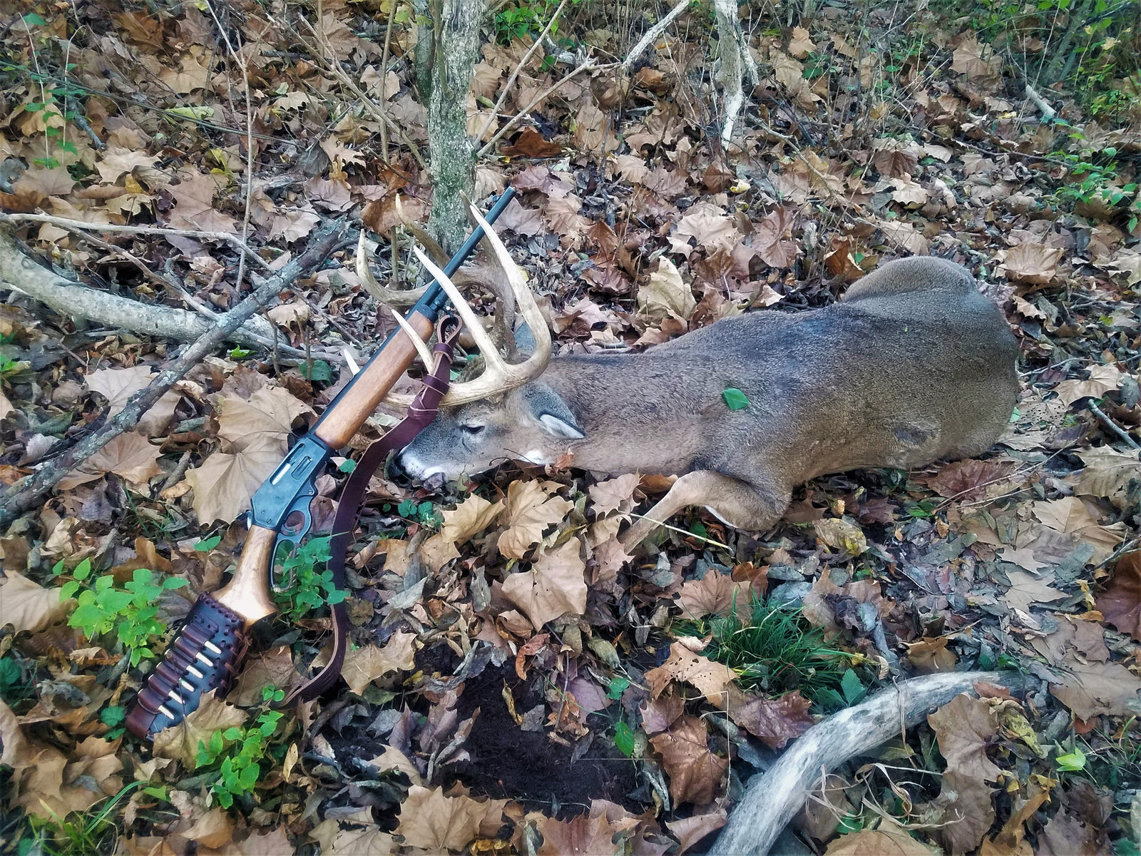brown double tanned latigo sling with rifle and deer on opening day hunting 2021